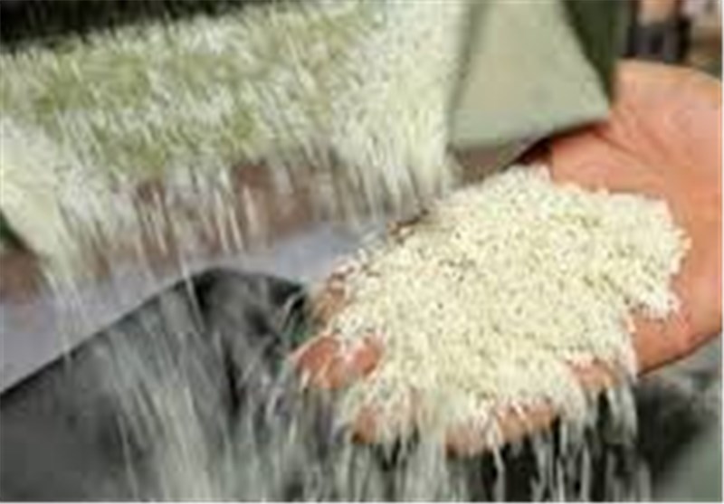 واردات برنج ۵۷درصد افزایش یافت