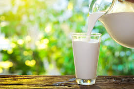 رازهایی سر به مهر در مورد شیر ESL
