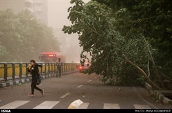 وقوع مجدد طوفان تهران / بیشترین سرعت ثبت شده 72 کیلومتر بر ساعت