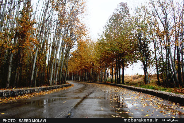 گزارش تصویری : بارش باران وریزش برگ درختان در پارک سرارودشهر مبارکه  – پاییز1393