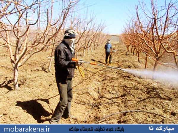 ضرورت مبارزه پیش بهاره با آفات و بیماریهای گیاهی برای کنترل عوامل خسارتزای باغات میوه