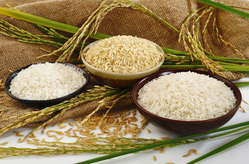 گرانی برنج در راه است؟