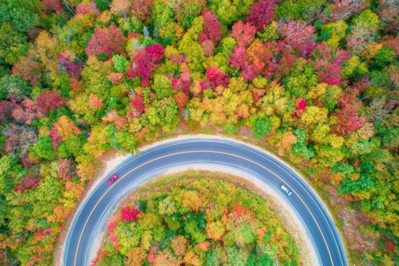 عکس های دیدنی از فصل رنگارنگ پاییز