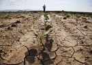 آبرسانی سیار به باغات در معرض تنش خشکسالی در شهرستان مبارکه