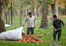 جمع‌آوری ۷۰ تن برگ پاییزی در مبارکه