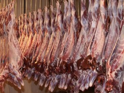 تزریق هفتگی 10 تن گوشت گرم وارداتی به بازار